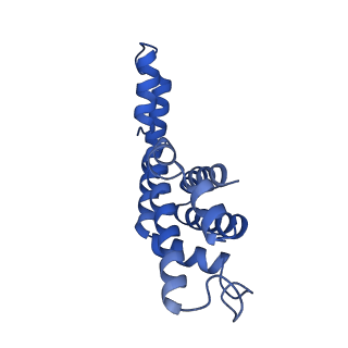 6769_5y6p_c1_v1-0
Structure of the phycobilisome from the red alga Griffithsia pacifica