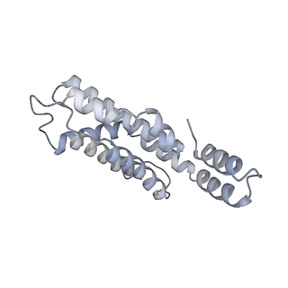 6769_5y6p_cE_v1-0
Structure of the phycobilisome from the red alga Griffithsia pacifica
