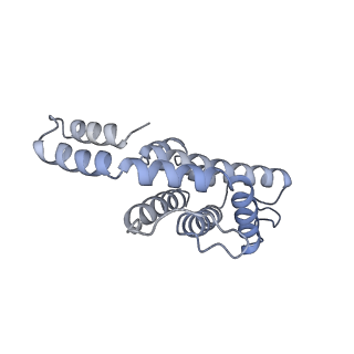 6769_5y6p_cR_v1-0
Structure of the phycobilisome from the red alga Griffithsia pacifica