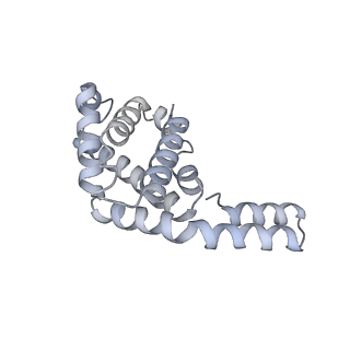 6769_5y6p_cS_v1-0
Structure of the phycobilisome from the red alga Griffithsia pacifica