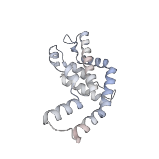 6769_5y6p_cT_v1-0
Structure of the phycobilisome from the red alga Griffithsia pacifica