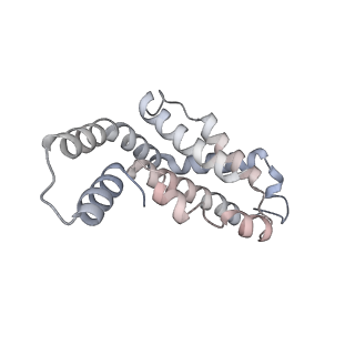6769_5y6p_cX_v1-0
Structure of the phycobilisome from the red alga Griffithsia pacifica