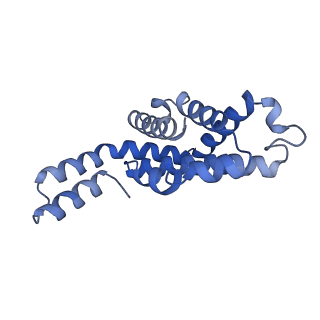 6769_5y6p_cv_v1-0
Structure of the phycobilisome from the red alga Griffithsia pacifica