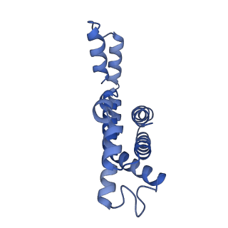 6769_5y6p_d1_v1-0
Structure of the phycobilisome from the red alga Griffithsia pacifica