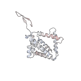 6769_5y6p_d3_v1-0
Structure of the phycobilisome from the red alga Griffithsia pacifica