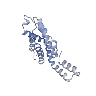 6769_5y6p_dE_v1-0
Structure of the phycobilisome from the red alga Griffithsia pacifica