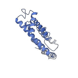 6769_5y6p_dH_v1-0
Structure of the phycobilisome from the red alga Griffithsia pacifica