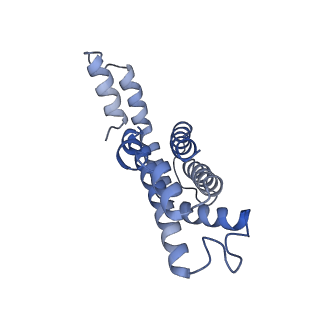 6769_5y6p_dR_v1-0
Structure of the phycobilisome from the red alga Griffithsia pacifica
