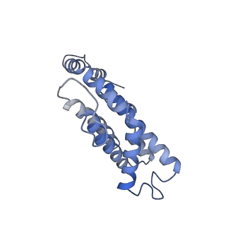 6769_5y6p_dV_v1-0
Structure of the phycobilisome from the red alga Griffithsia pacifica