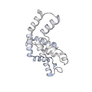 6769_5y6p_dg_v1-0
Structure of the phycobilisome from the red alga Griffithsia pacifica