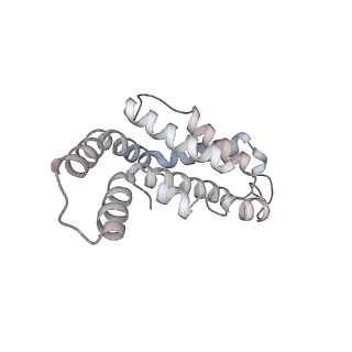 6769_5y6p_do_v1-0
Structure of the phycobilisome from the red alga Griffithsia pacifica