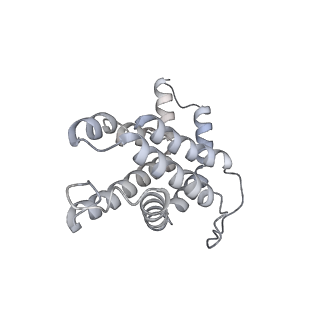 6769_5y6p_dt_v1-0
Structure of the phycobilisome from the red alga Griffithsia pacifica