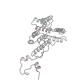 6769_5y6p_dw_v1-0
Structure of the phycobilisome from the red alga Griffithsia pacifica