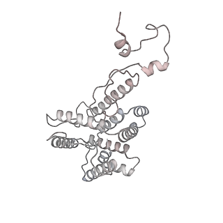 6769_5y6p_dx_v1-0
Structure of the phycobilisome from the red alga Griffithsia pacifica