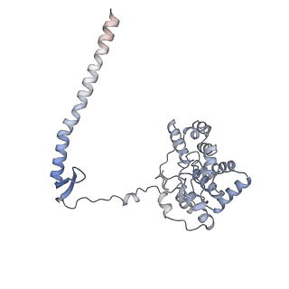 6769_5y6p_dy_v1-0
Structure of the phycobilisome from the red alga Griffithsia pacifica