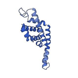 6769_5y6p_e1_v1-0
Structure of the phycobilisome from the red alga Griffithsia pacifica
