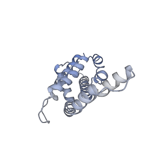 6769_5y6p_e5_v1-0
Structure of the phycobilisome from the red alga Griffithsia pacifica