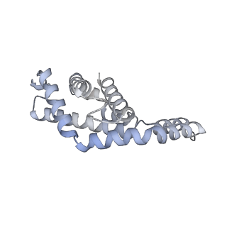 6769_5y6p_eG_v1-0
Structure of the phycobilisome from the red alga Griffithsia pacifica