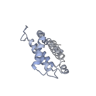 6769_5y6p_eL_v1-0
Structure of the phycobilisome from the red alga Griffithsia pacifica