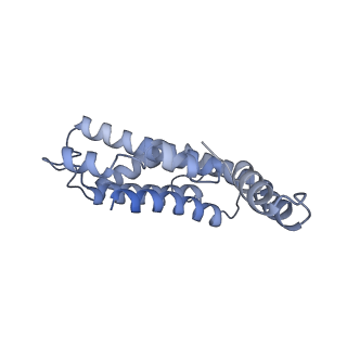 6769_5y6p_eP_v1-0
Structure of the phycobilisome from the red alga Griffithsia pacifica