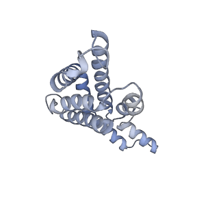 6769_5y6p_eS_v1-0
Structure of the phycobilisome from the red alga Griffithsia pacifica