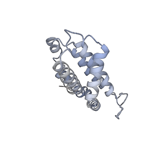 6769_5y6p_eV_v1-0
Structure of the phycobilisome from the red alga Griffithsia pacifica