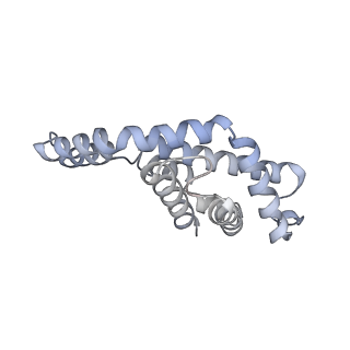 6769_5y6p_eW_v1-0
Structure of the phycobilisome from the red alga Griffithsia pacifica