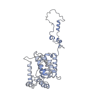 6769_5y6p_eZ_v1-0
Structure of the phycobilisome from the red alga Griffithsia pacifica