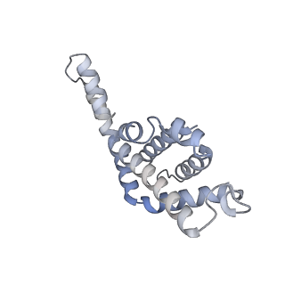 6769_5y6p_ed_v1-0
Structure of the phycobilisome from the red alga Griffithsia pacifica