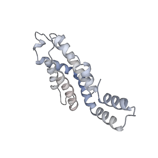 6769_5y6p_ej_v1-0
Structure of the phycobilisome from the red alga Griffithsia pacifica