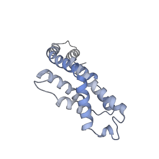 6769_5y6p_ek_v1-0
Structure of the phycobilisome from the red alga Griffithsia pacifica