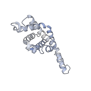 6769_5y6p_em_v1-0
Structure of the phycobilisome from the red alga Griffithsia pacifica