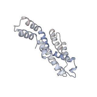 6769_5y6p_es_v1-0
Structure of the phycobilisome from the red alga Griffithsia pacifica