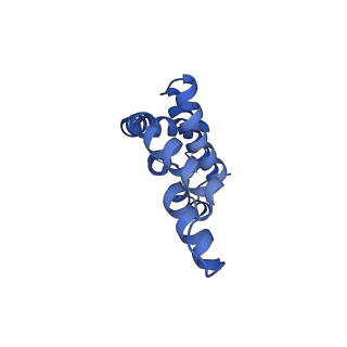 6769_5y6p_f1_v1-0
Structure of the phycobilisome from the red alga Griffithsia pacifica