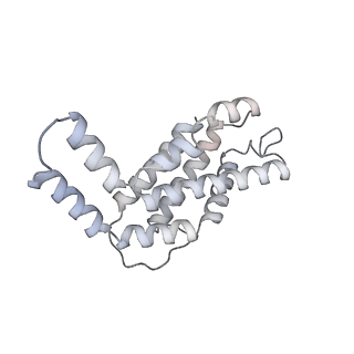 6769_5y6p_f8_v1-0
Structure of the phycobilisome from the red alga Griffithsia pacifica