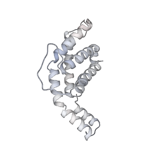 6769_5y6p_fa_v1-0
Structure of the phycobilisome from the red alga Griffithsia pacifica