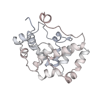 6769_5y6p_fd_v1-0
Structure of the phycobilisome from the red alga Griffithsia pacifica