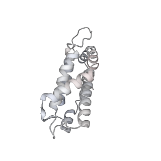 6769_5y6p_ff_v1-0
Structure of the phycobilisome from the red alga Griffithsia pacifica