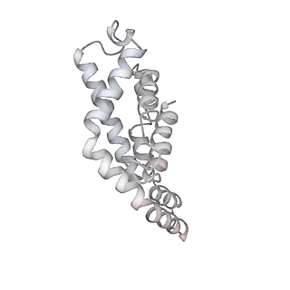 6769_5y6p_fg_v1-0
Structure of the phycobilisome from the red alga Griffithsia pacifica