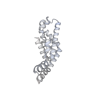 6769_5y6p_fh_v1-0
Structure of the phycobilisome from the red alga Griffithsia pacifica