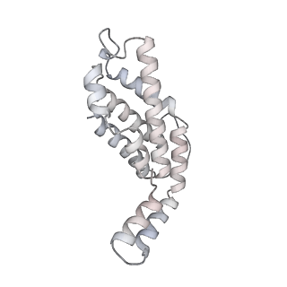 6769_5y6p_fm_v1-0
Structure of the phycobilisome from the red alga Griffithsia pacifica