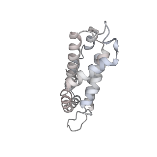 6769_5y6p_fo_v1-0
Structure of the phycobilisome from the red alga Griffithsia pacifica