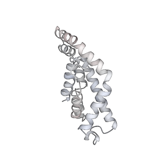 6769_5y6p_fp_v1-0
Structure of the phycobilisome from the red alga Griffithsia pacifica
