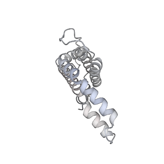 6769_5y6p_fq_v1-0
Structure of the phycobilisome from the red alga Griffithsia pacifica