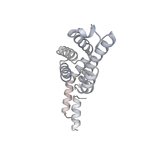 6769_5y6p_fr_v1-0
Structure of the phycobilisome from the red alga Griffithsia pacifica