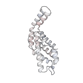 6769_5y6p_fs_v1-0
Structure of the phycobilisome from the red alga Griffithsia pacifica