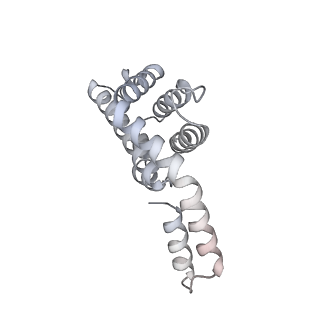 6769_5y6p_fv_v1-0
Structure of the phycobilisome from the red alga Griffithsia pacifica