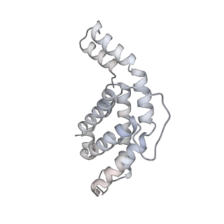 6769_5y6p_fw_v1-0
Structure of the phycobilisome from the red alga Griffithsia pacifica