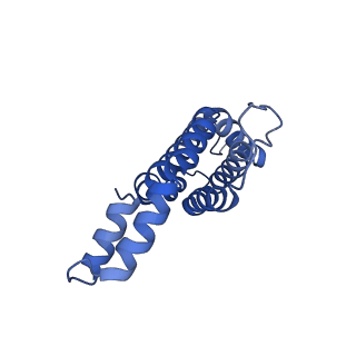 6769_5y6p_gd_v1-0
Structure of the phycobilisome from the red alga Griffithsia pacifica
