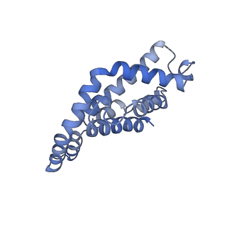 6769_5y6p_gq_v1-0
Structure of the phycobilisome from the red alga Griffithsia pacifica